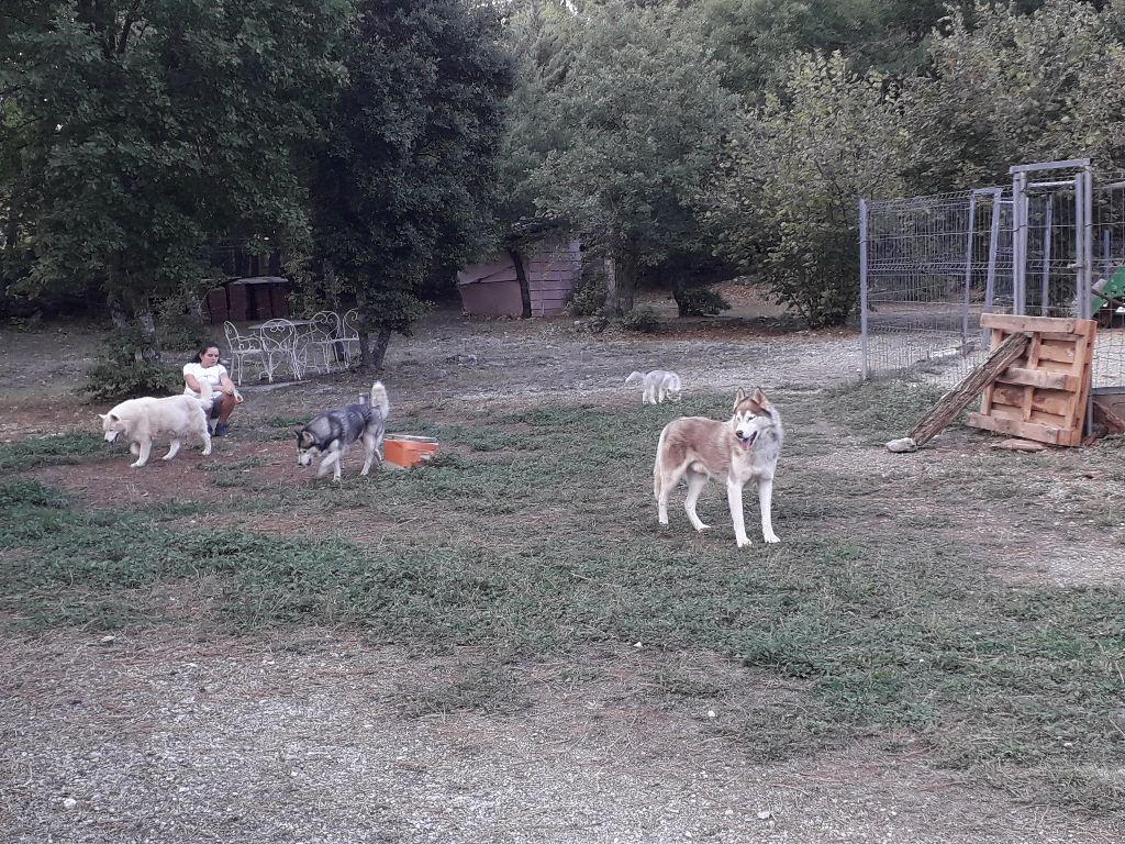 Phoebe Des Collines De Gaïrouk